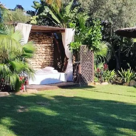 House Near Conil With A Tropical Garden And Pool Villa Conil De La Frontera Exterior photo
