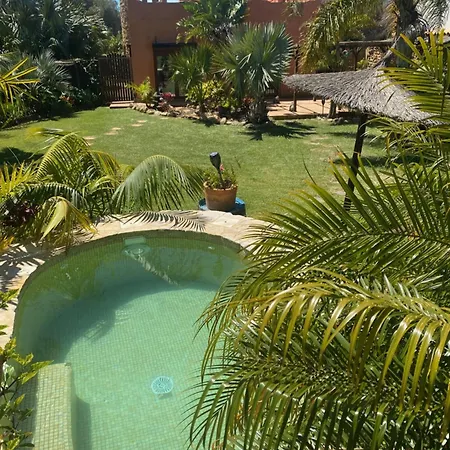 House Near Conil With A Tropical Garden And Pool Villa Conil De La Frontera Exterior photo