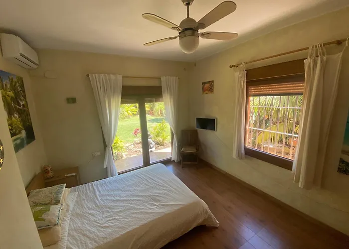 House Near Conil With A Tropical Garden And Pool