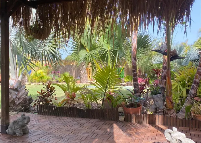 House Near Conil With A Tropical Garden And Pool