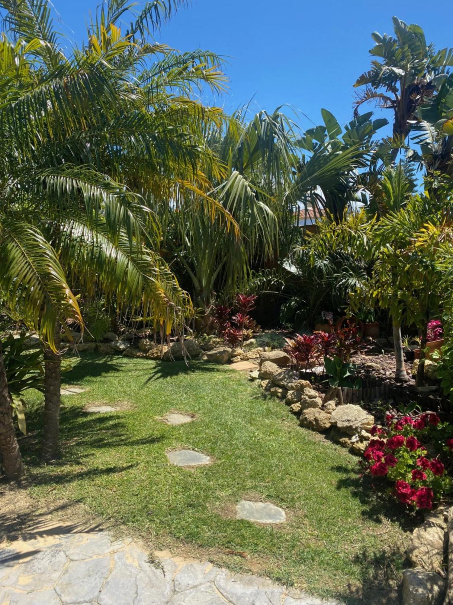 Holiday home House Near Conil With A Tropical Garden And Pool *
